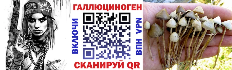 закладка  Краснознаменск  Галлюциногенные грибы MAGIC MUSHROOMS 